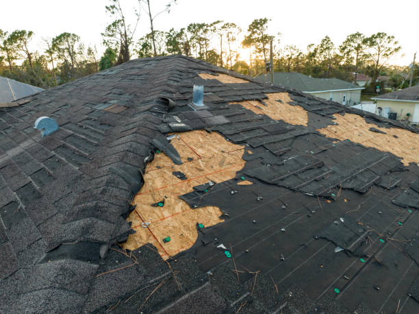 Professional Roofing Services in Loughman, FL